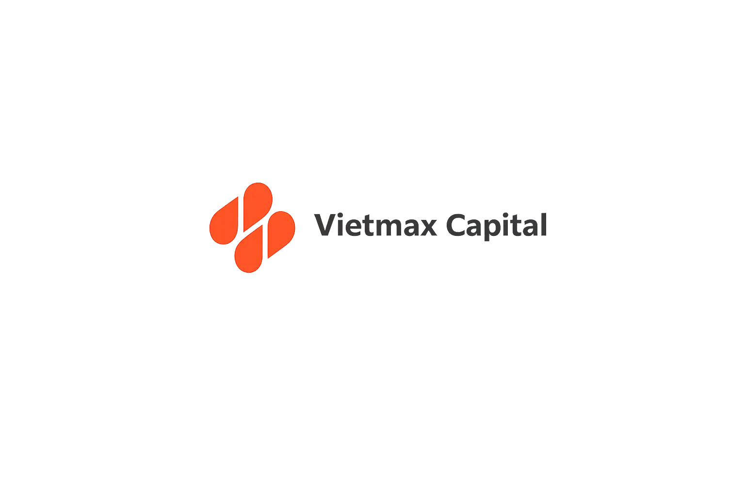 Logo Vietmax Capital
